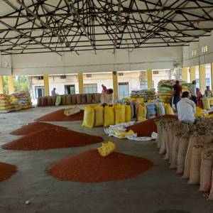 WhatsApp_Image_2025-08-14_at_4.03.55_PM_1_original